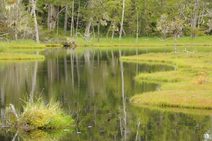 beautiful pond near confluence site