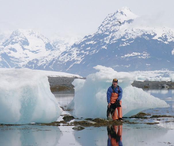 Growler icebergs stranded at low water.