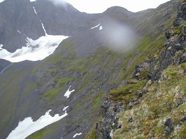 Confluence on the Mossy Outcropping