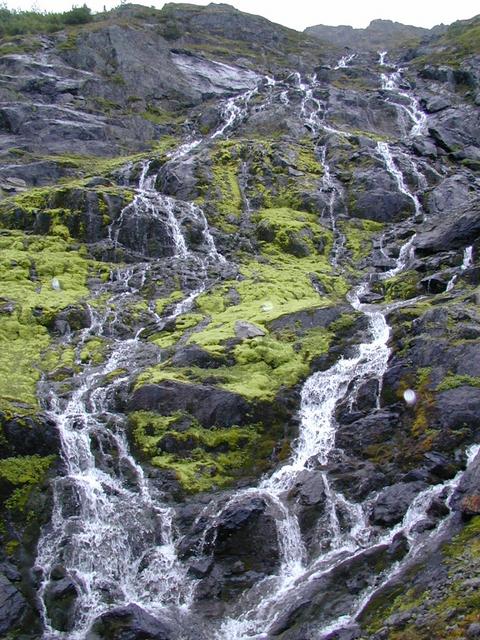 Moss covered mountain of doom