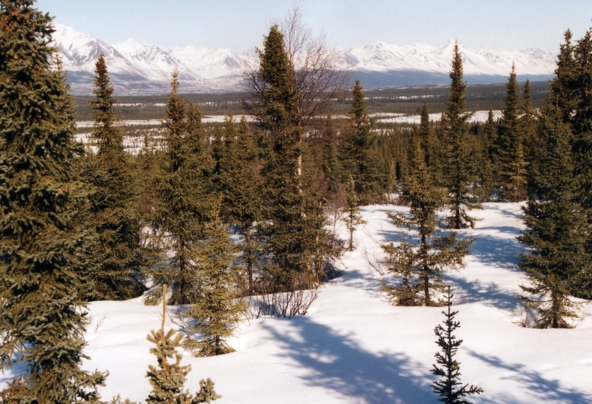 view at confluence looking north