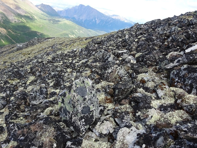 Field of rocks near the Confluence