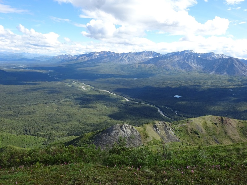 View into the Mentasta River Valley