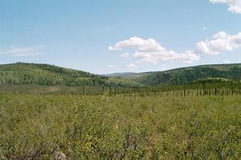 #1: confluence in foreground looking east