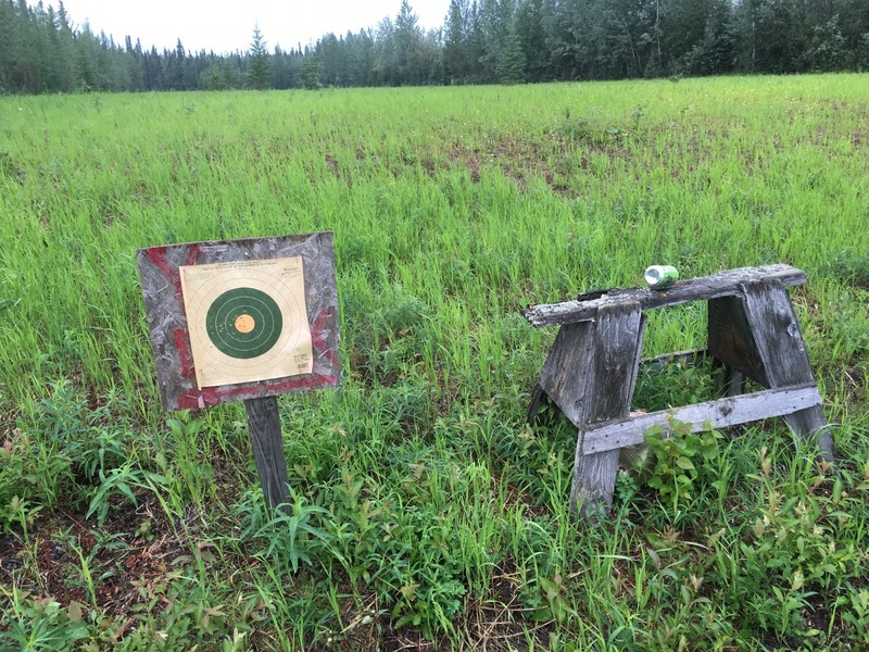 Gun shooting targets