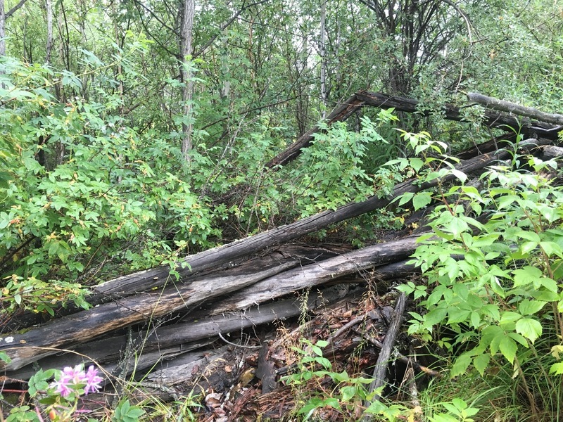 The boards from a former barn