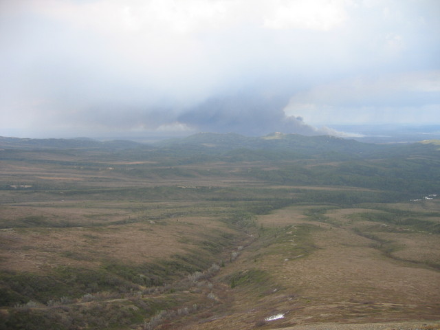 North from the confluence with the forest fire in view