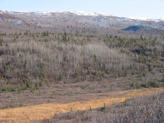 View from the Confluence