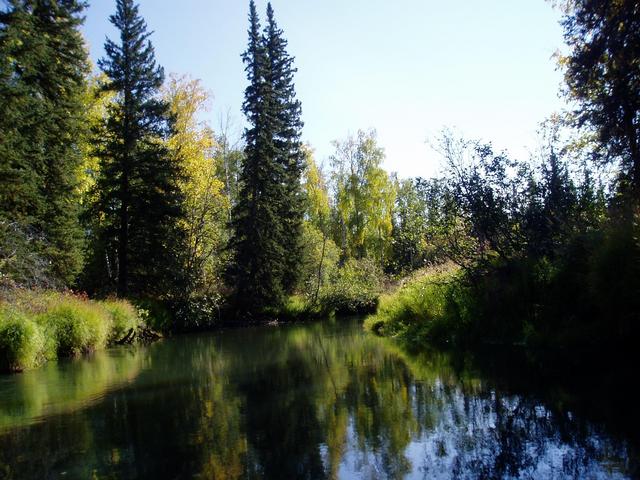 Along the creek on the way to the confluence.