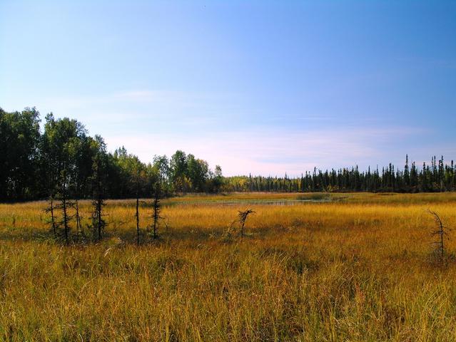 A pond just southwest of the confluence point.