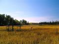 #6: A pond just southwest of the confluence point.