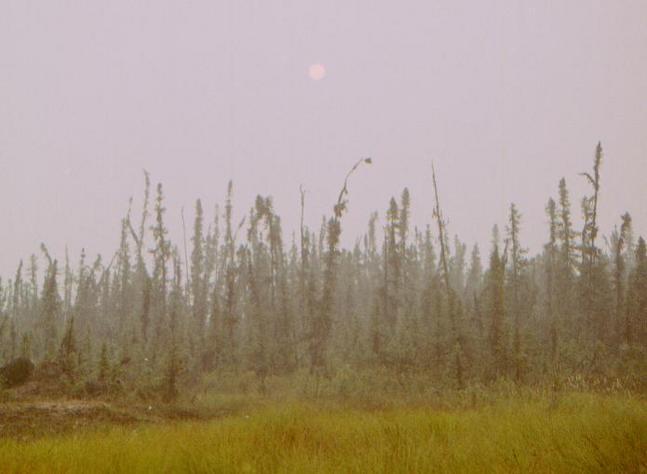 sunrise over the tundra