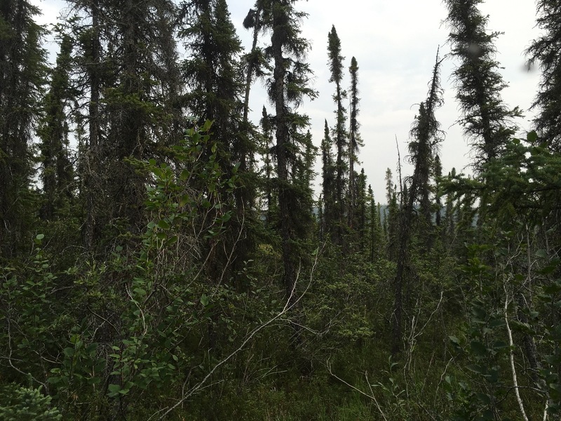 The Confluence from 10 m distance