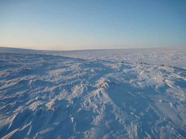 Confluence point looking West