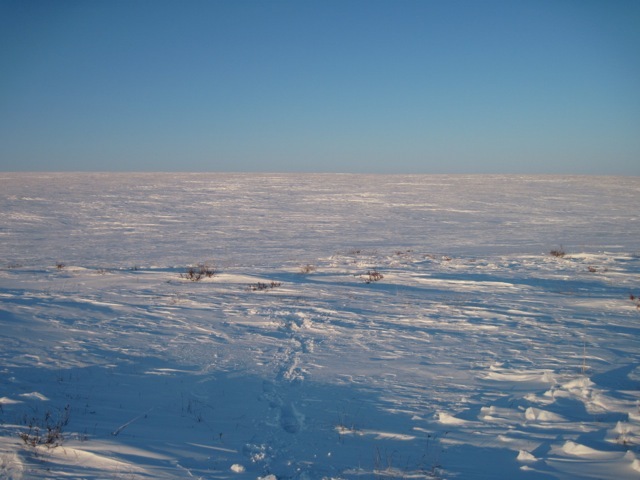 Confluence point looking North