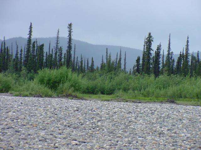 Looking along the 67 N parallel to the 152 W meridian from the John River