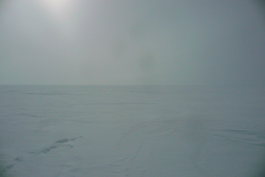 Looking south from confluence site.