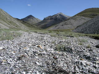 #1: 69N 142W, looking east towards Canada.