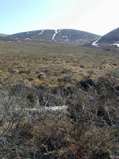 Confluence is just below the patch of snow in the foreground