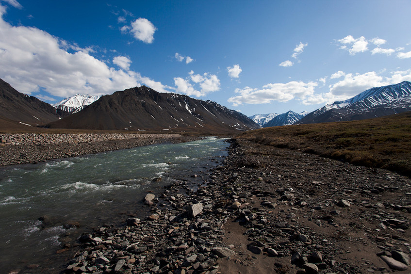 Along the Dalton Highway on the way to the confluence.