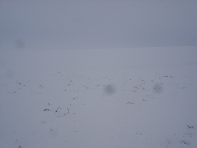 The view south from the confluence.