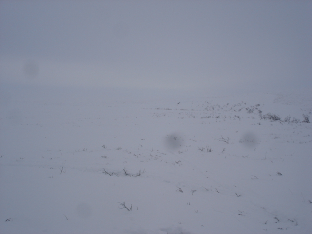 The view north from the confluence.