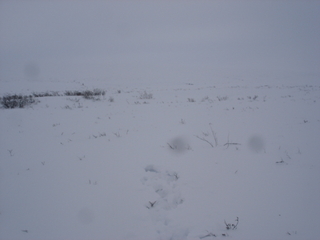 #1: The view east from the confluence.