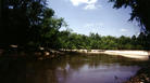 #2: The beautiful Pea river, a short walk South of the confluence. (Water towards bottom of picture, sandy beach in middle.)