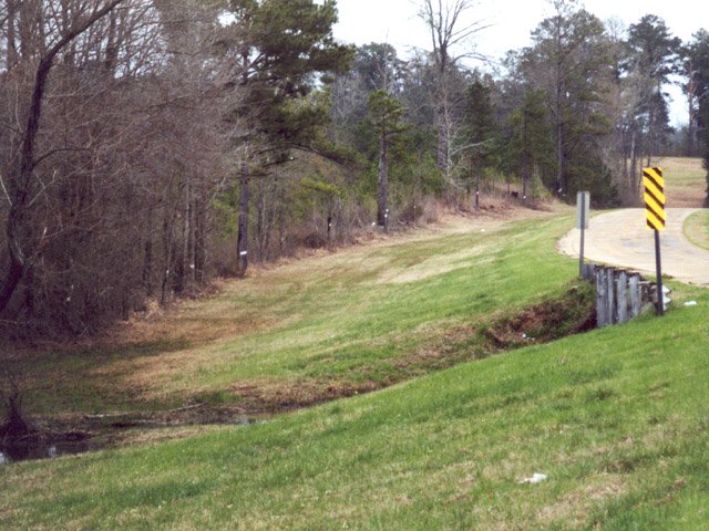 White boundary line painted on trees near Old Highway 231