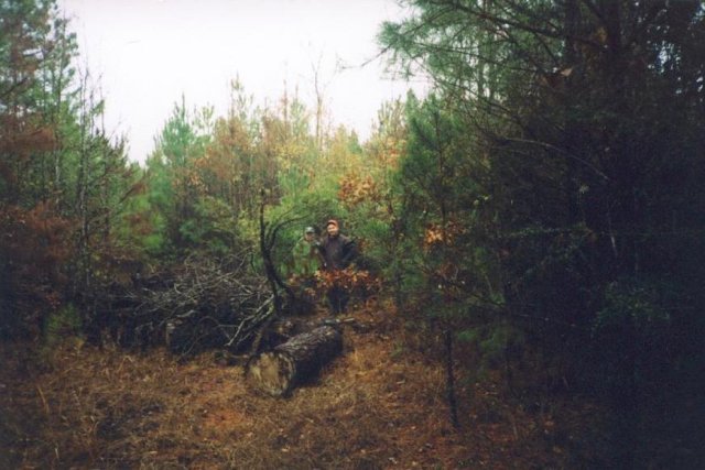 A Woodpile on the Confluence