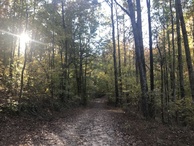 #9: Lovely lane and sunset north of the confluence. 