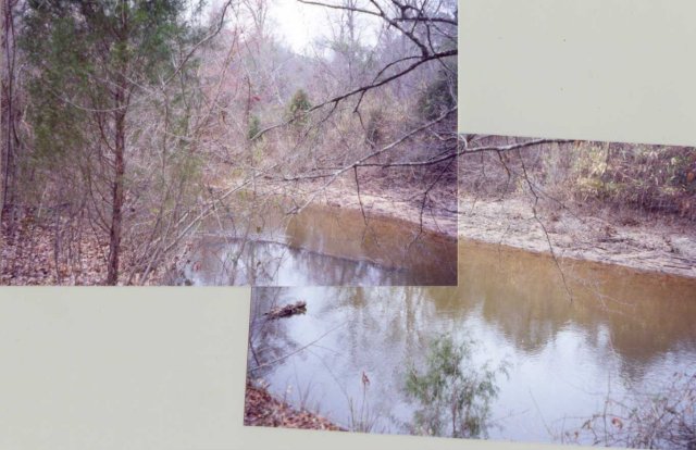 Left Side of Creek towards conflunce