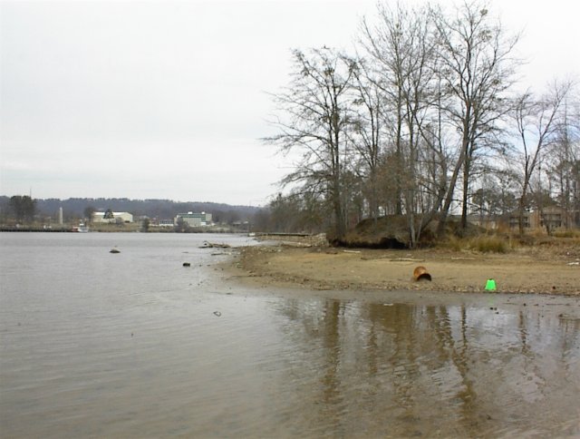 Looking north from the confluence point