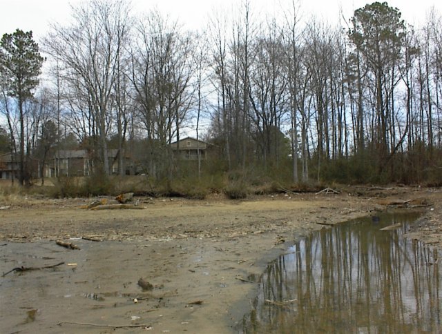 The muddy peninsula onto which Sharon had to venture can be seen looking east