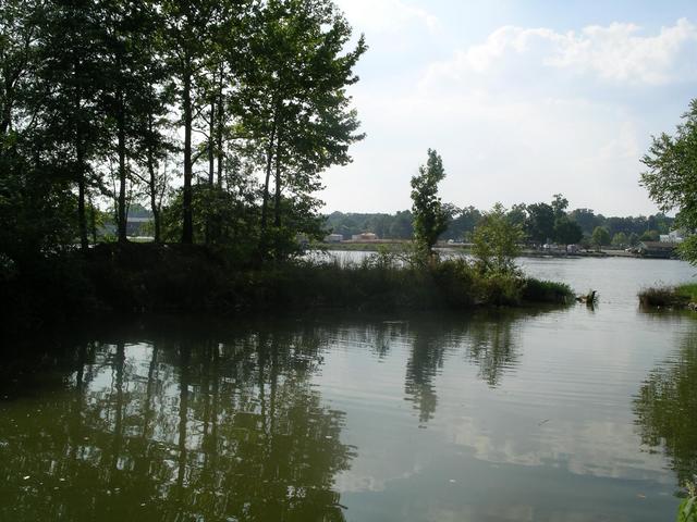 looking west toward the point which is about 60 meters distant