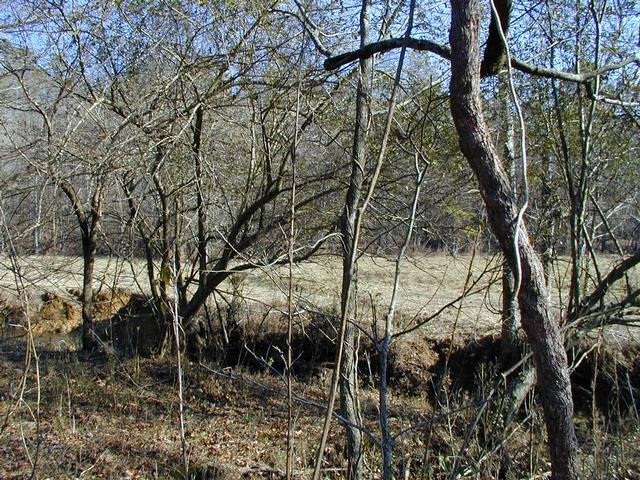 Looking east from the site.