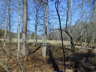 #1: Looking north from the site.