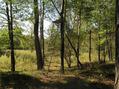 #8: Hunting view platform, 50 meters west of the confluence.