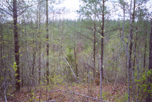 Top of ravine over confluence point