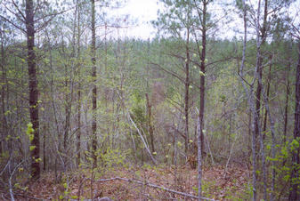 #1: Top of ravine over confluence point