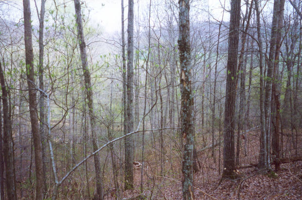 Looking down hill to valley from confluence point