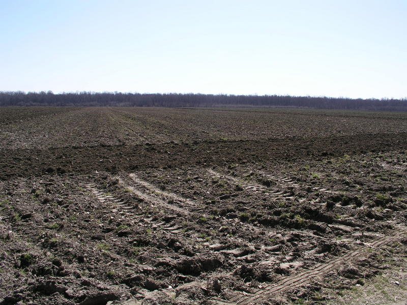 Looking South from 34N 91W.