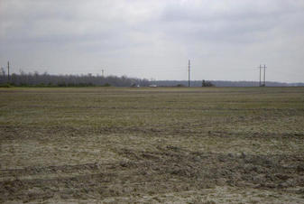 #1: View from the confluence facing NE