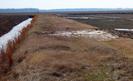 #4: View south from the confluence.