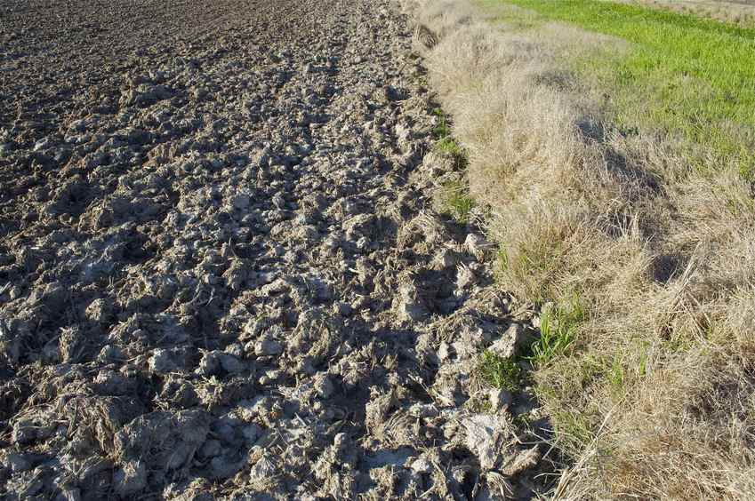 The confluence point lies in this plowed field, just a foot or two from the banks of an irrigation canal