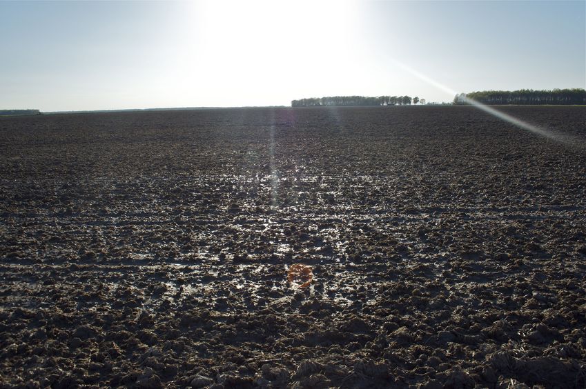 View West (across the plowed field, and into the setting sun)