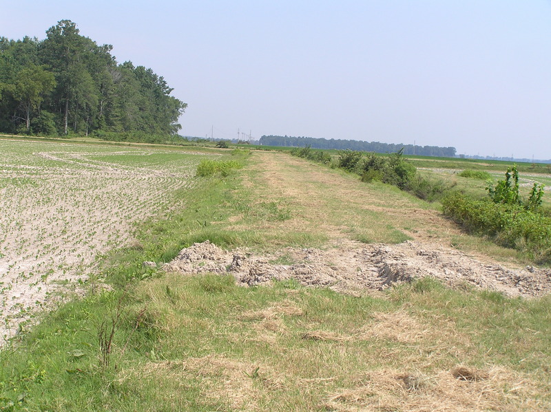 View to the north from the confluence.