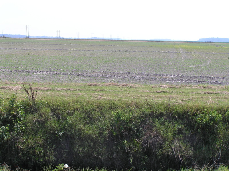 View to the east from the confluence.