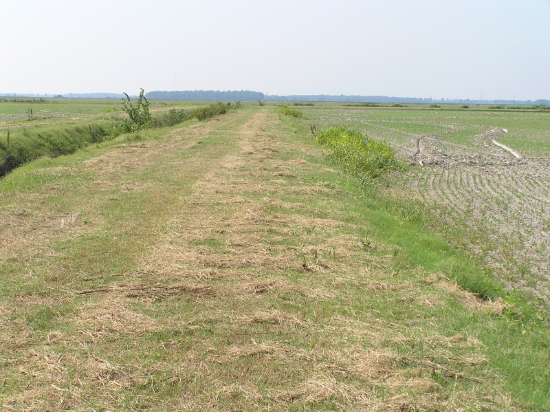 View to the south from the confluence.