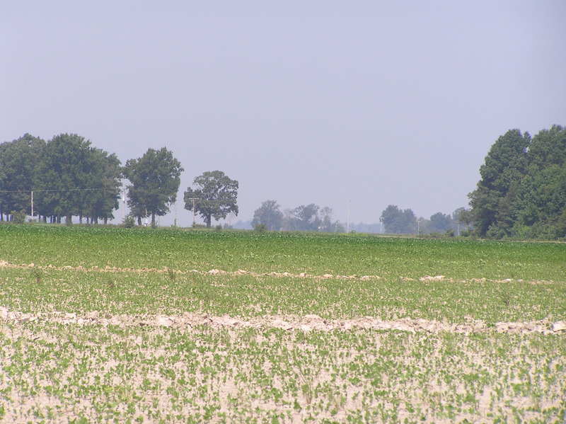 View to the northwest from the confluence. 